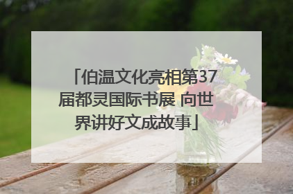 伯温文化亮相第37届都灵国际书展 向世界讲好文成故事