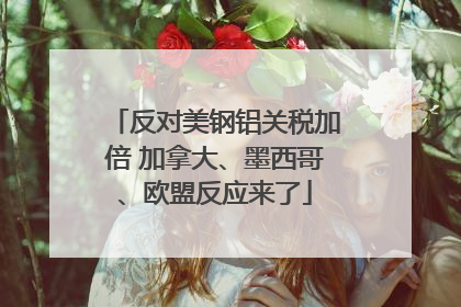反对美钢铝关税加倍 加拿大、墨西哥、欧盟反应来了