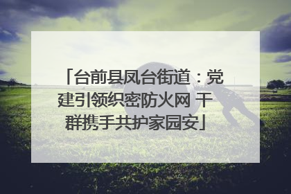 台前县凤台街道：党建引领织密防火网 干群携手共护家园安