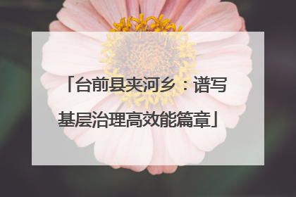 台前县夹河乡：谱写基层治理高效能篇章