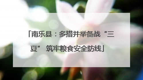 南乐县：多措并举备战“三夏” 筑牢粮食安全防线