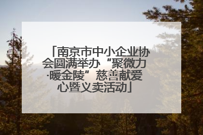 南京市中小企业协会圆满举办“聚微力·暖金陵”慈善献爱心暨义卖活动