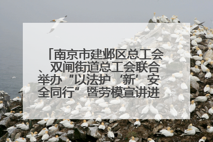 南京市建邺区总工会、双闸街道总工会联合举办“以法护‘新’安全同行”暨劳模宣讲进工地服务活动
