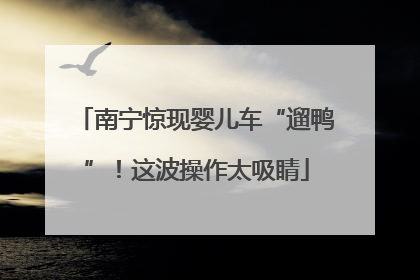 南宁惊现婴儿车“遛鸭”！这波操作太吸睛
