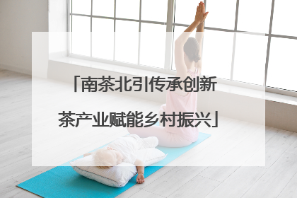 南茶北引传承创新 茶产业赋能乡村振兴