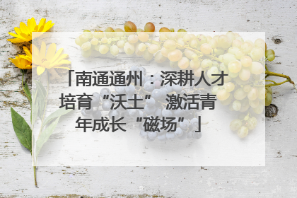 南通通州：深耕人才培育“沃土” 激活青年成长“磁场”