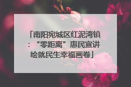 南阳宛城区红泥湾镇：“零距离”惠民宣讲 绘就民生幸福画卷