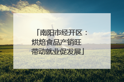 南阳市经开区：烘焙食品产销旺 带动就业促发展