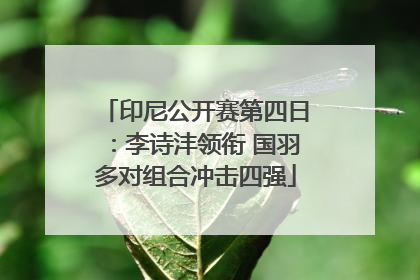 印尼公开赛第四日：李诗沣领衔 国羽多对组合冲击四强