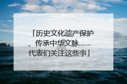 历史文化遗产保护、传承中华文脉……代表们关注这些事