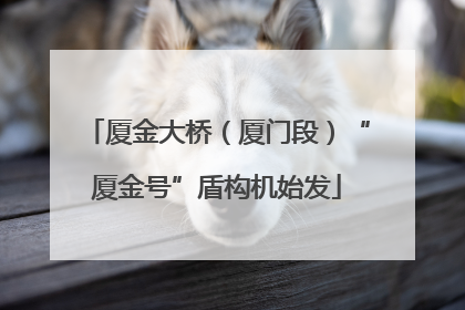 厦金大桥（厦门段）“厦金号”盾构机始发