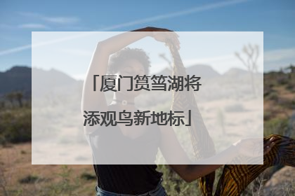 厦门筼筜湖将添观鸟新地标