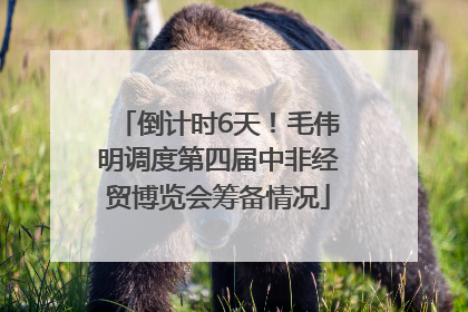 倒计时6天！毛伟明调度第四届中非经贸博览会筹备情况