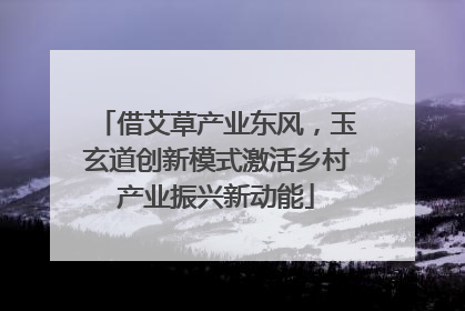 借艾草产业东风，玉玄道创新模式激活乡村产业振兴新动能