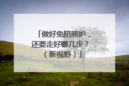 做好免陪照护，还要走好哪几步？（新视野）
