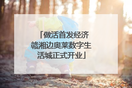 做活首发经济 赣湘边奥莱数字生活城正式开业