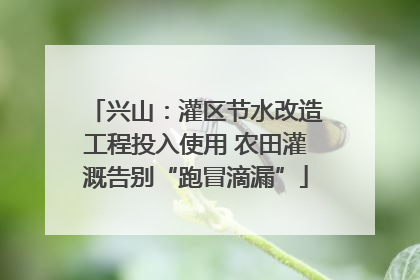兴山：灌区节水改造工程投入使用 农田灌溉告别“跑冒滴漏”