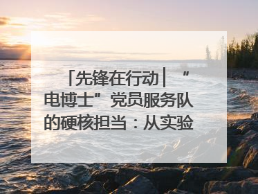 先锋在行动 ▏“电博士”党员服务队的硬核担当：从实验室到抗洪一线