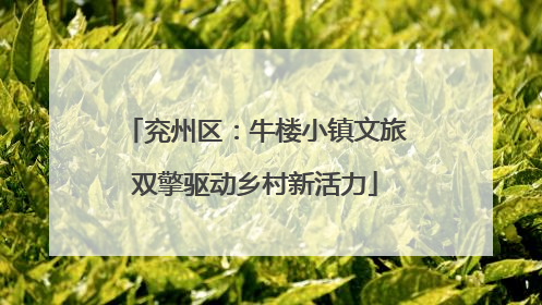 兖州区：牛楼小镇文旅双擎驱动乡村新活力