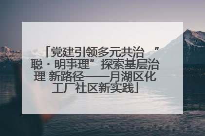 党建引领多元共治 “聪・明事理”探索基层治理 新路径——月湖区化工厂社区新实践