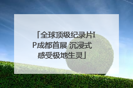 全球顶级纪录片IP成都首展 沉浸式感受极地生灵