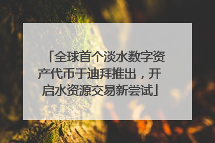 全球首个淡水数字资产代币于迪拜推出，开启水资源交易新尝试