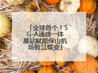 全球首个！5G-A通感一体基站赋能保山机场智慧蝶变