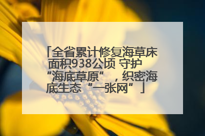 全省累计修复海草床面积938公顷 守护“海底草原”，织密海底生态“一张网”
