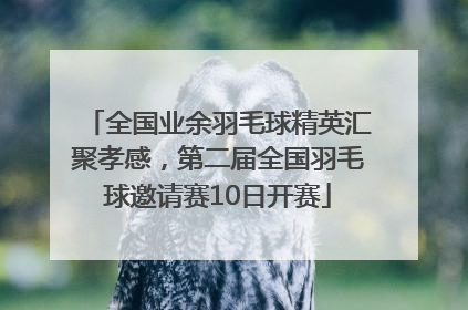 全国业余羽毛球精英汇聚孝感，第二届全国羽毛球邀请赛10日开赛