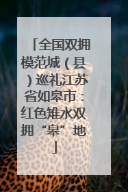 全国双拥模范城（县）巡礼江苏省如皋市：红色雉水双拥“皋”地
