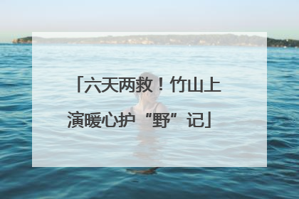 六天两救！竹山上演暖心护“野”记