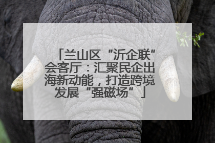 兰山区“沂企联”会客厅：汇聚民企出海新动能，打造跨境发展“强磁场”
