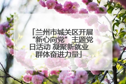 兰州市城关区开展“新心向党”主题党日活动 凝聚新就业群体奋进力量