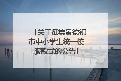 关于征集景德镇市中小学生统一校服款式的公告