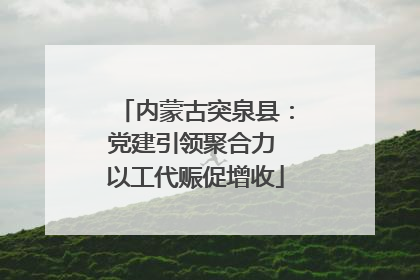内蒙古突泉县：党建引领聚合力 以工代赈促增收