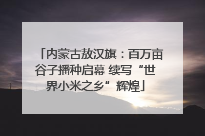内蒙古敖汉旗：百万亩谷子播种启幕 续写“世界小米之乡”辉煌