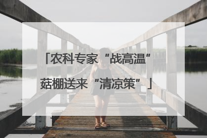 农科专家“战高温” 菇棚送来“清凉策”