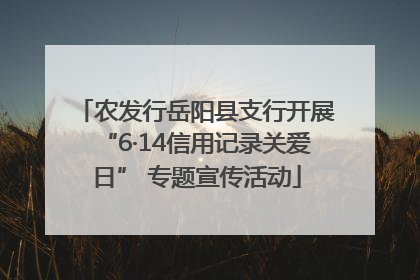 农发行岳阳县支行开展“6·14信用记录关爱日” 专题宣传活动