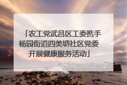 农工党武昌区工委携手杨园街道四美塘社区党委开展健康服务活动