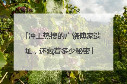 冲上热搜的广饶傅家遗址，还藏着多少秘密