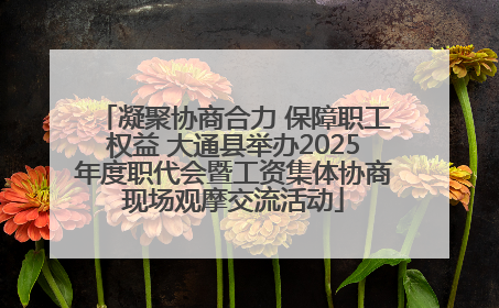 凝聚协商合力 保障职工权益 大通县举办2025年度职代会暨工资集体协商现场观摩交流活动