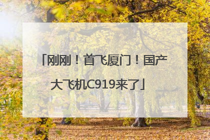 刚刚！首飞厦门！国产大飞机C919来了