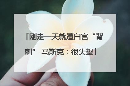 刚走一天就遭白宫“背刺” 马斯克：很失望