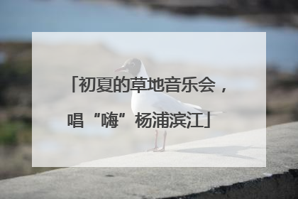 初夏的草地音乐会，唱“嗨”杨浦滨江