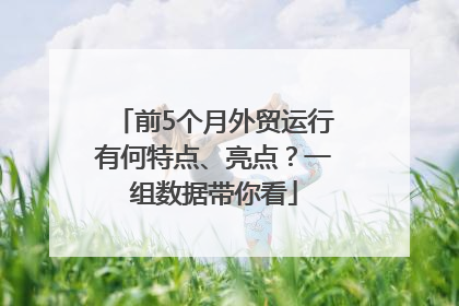 前5个月外贸运行有何特点、亮点？一组数据带你看