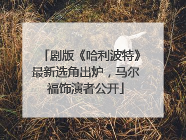 剧版《哈利波特》最新选角出炉，马尔福饰演者公开