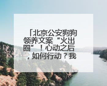 北京公安狗狗领养文案“火出圈”！心动之后，如何行动？我们打听了