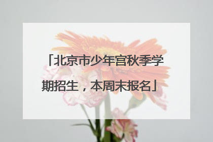 北京市少年宫秋季学期招生，本周末报名