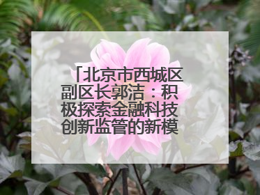 北京市西城区副区长郭洁：积极探索金融科技创新监管的新模式和新方法