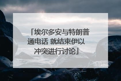 埃尔多安与特朗普通电话 就结束伊以冲突进行讨论